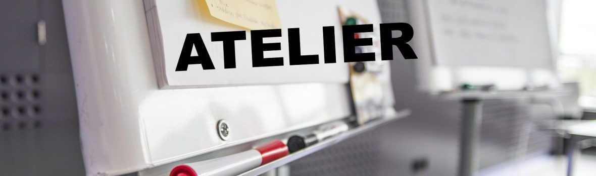 Atelier : Partage dédié aux établissements psychiatriques autour du déploiement des outils du Ségur (INS, DMP)